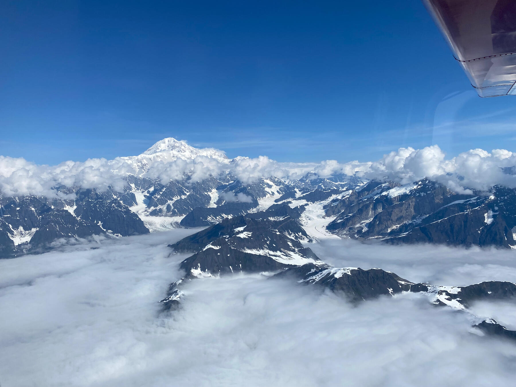 Bild Denali
