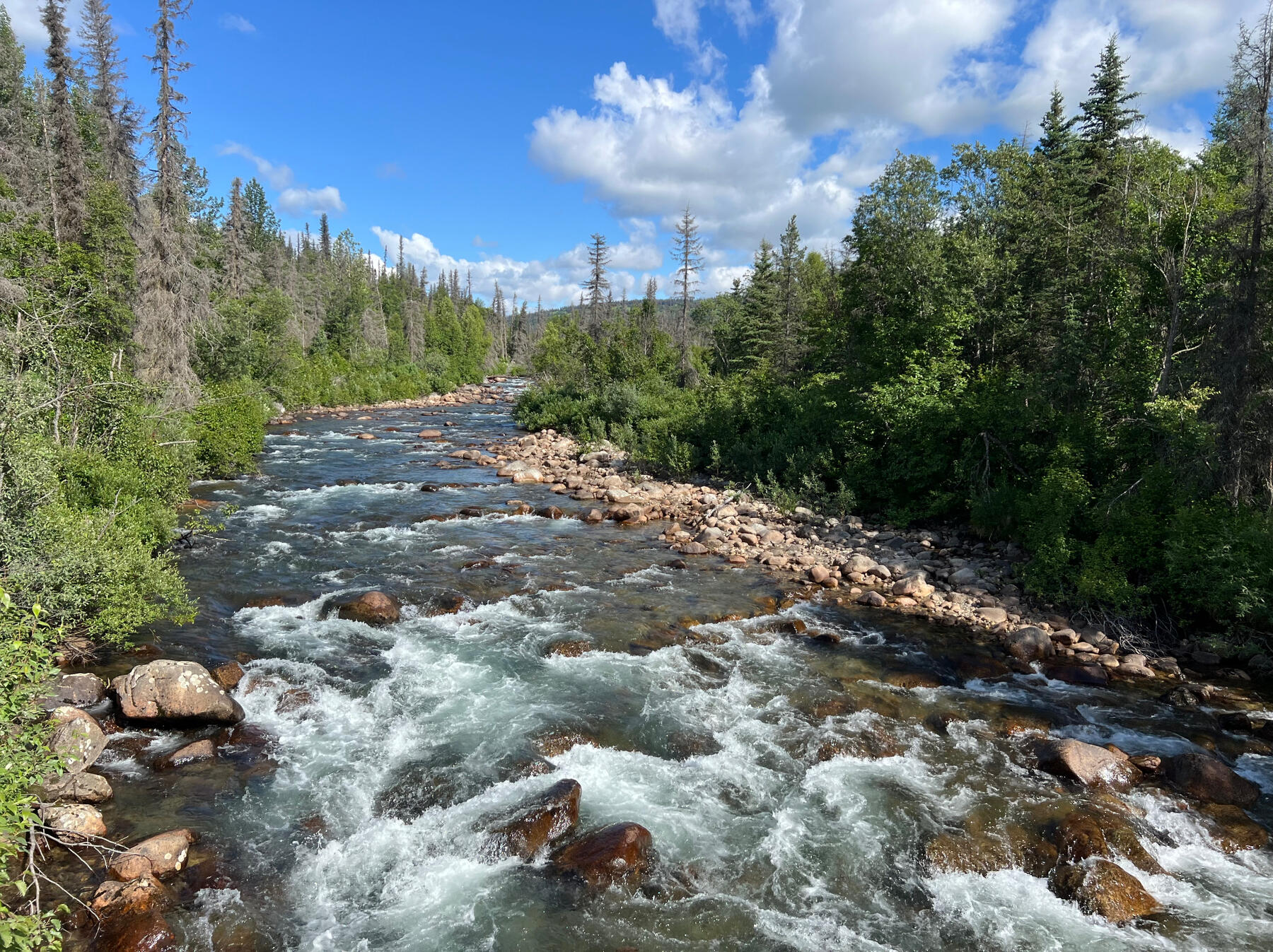 Creek 1