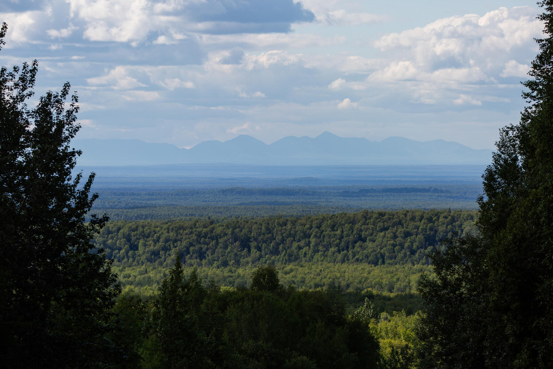 Denali