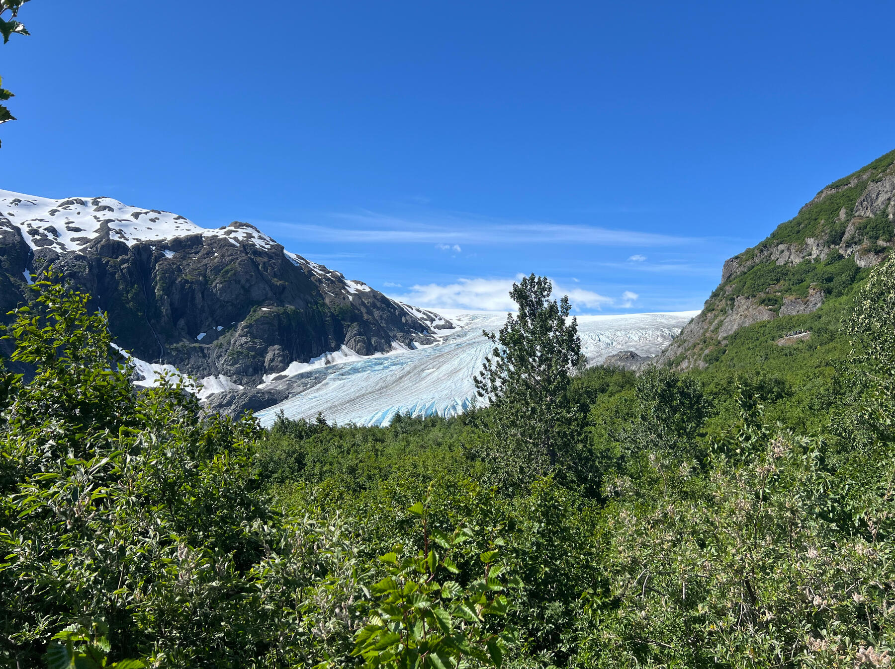 Bild Gletscher